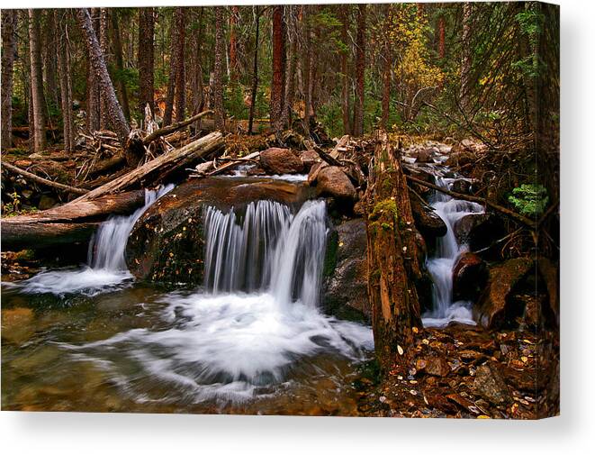 Colorado Canvas Print featuring the photograph Running Down Antero by Jeremy Rhoades