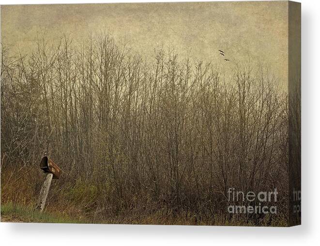 Maine Canvas Print featuring the photograph Rural Mailbox by Karin Pinkham
