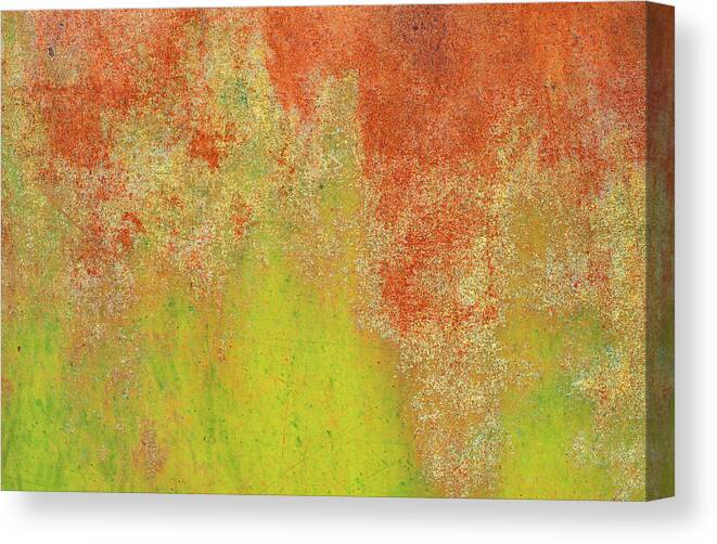 Orange Color Canvas Print featuring the photograph Rust by Rob Atkins