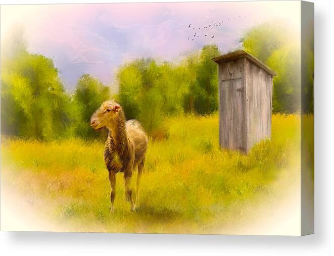 Lamb. Sheep. Outhouse. Toilet. Outdoor Toilet. Primitive Restroom. Painting. Trees. Grasses. Pasture. Sky. Clouds. Photography. Digital Art. Canvas. Texture. Print. Poster. Greeting Card. Framed Fine Art. Father's Day Greeting Card. Birthday Greeting Card. Nature. Summer Landscape. Spring Landscape. Birds. Geese. Farm Scene. Ducks. Canvas Print featuring the photograph Rustic Pasture by Mary Timman