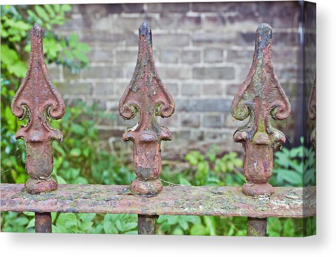 Architecture Canvas Print featuring the photograph Rusty fence spikes by Tom Gowanlock