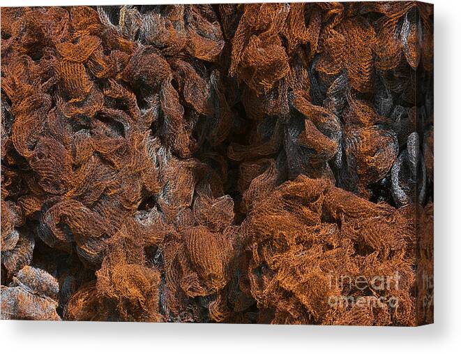 Net Canvas Print featuring the photograph Rusty Metal Net Texture by Kiril Stanchev