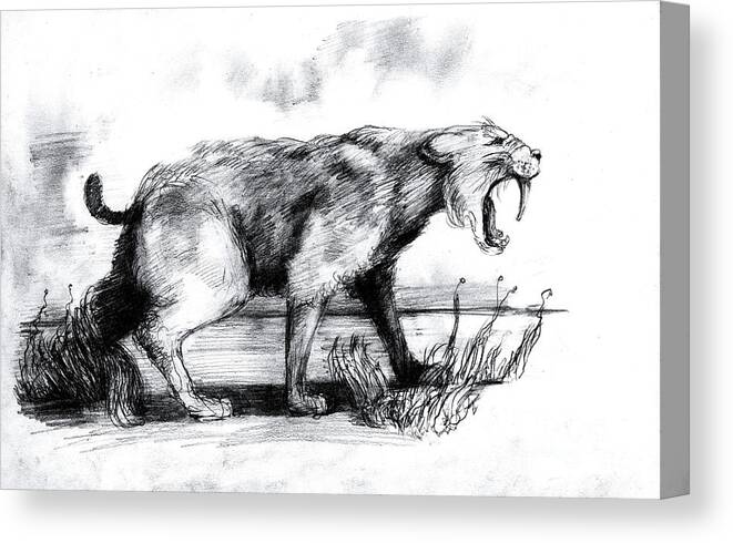 Smilodon Canvas Print featuring the photograph Saber-toothed Cat by Spencer Sutton