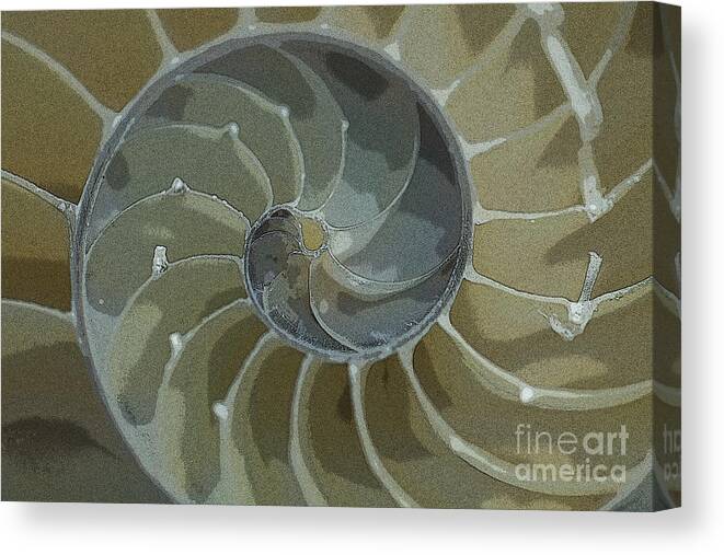 Sacred Spiral Canvas Print featuring the photograph Sacred Spiral 6 by Jeanette French
