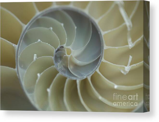 Spiral Canvas Print featuring the photograph Sacred Spiral II by Jeanette French