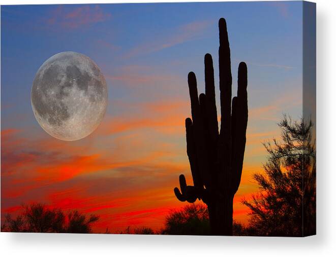 Sunrise Canvas Print featuring the photograph Saguaro Full Moon Sunset by James BO Insogna