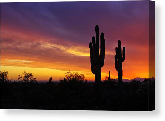 Saguaro Sunset Canvas Print featuring the photograph Saguaro Sunset II by Saija Lehtonen