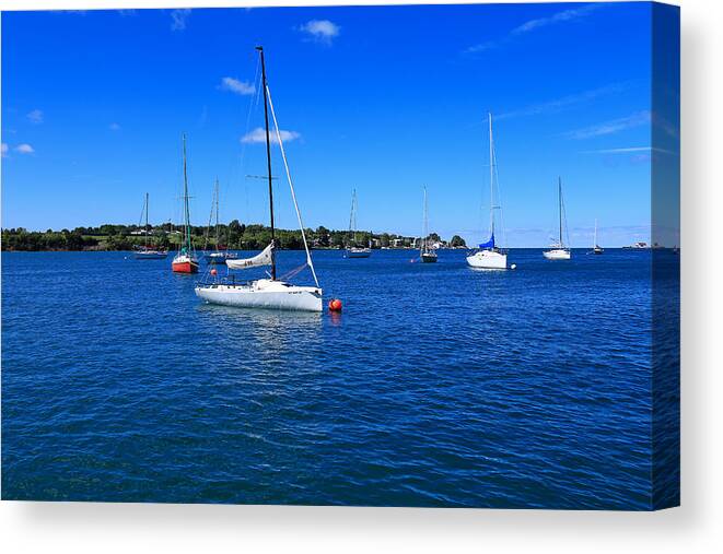Sailboats At Youngstown Canvas Print featuring the photograph Sailboats at Youngstown by Rachel Cohen