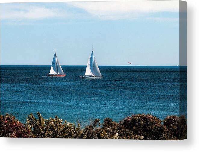 Ocean Scene Canvas Print featuring the photograph Sailing Watch Hill RI by Tom Prendergast