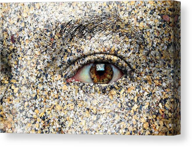 Tree Canvas Print featuring the photograph Sand in your Eye by Paul Fell