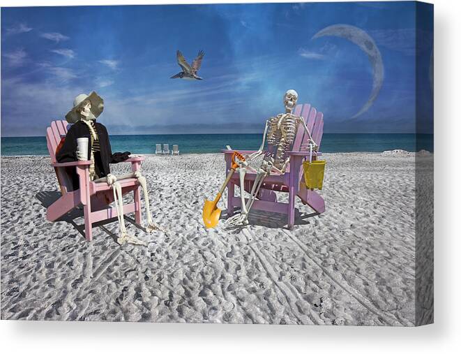Skeleton Canvas Print featuring the photograph Sam and His Friend Visit Long Boat Key by Betsy Knapp