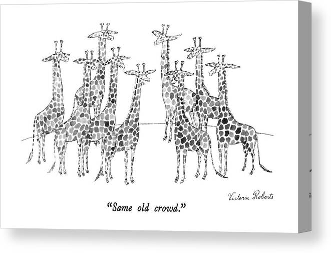 Animals Canvas Print featuring the drawing Same Old Crowd by Victoria Roberts
