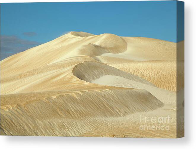 00463456 Canvas Print featuring the photograph Sand Dune on Cactus Beach South Australia by Yva Momatiuk and John Eastcott