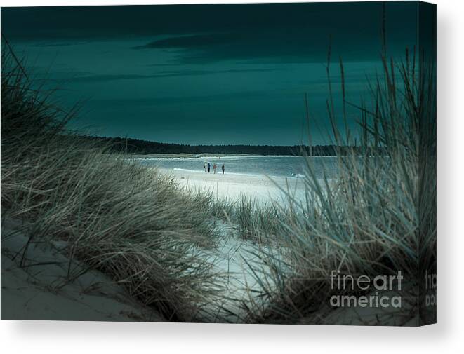 Baltic Canvas Print featuring the photograph Sand dunes on the Baltic coast of Oland at Boda sand Sweden by Peter Noyce