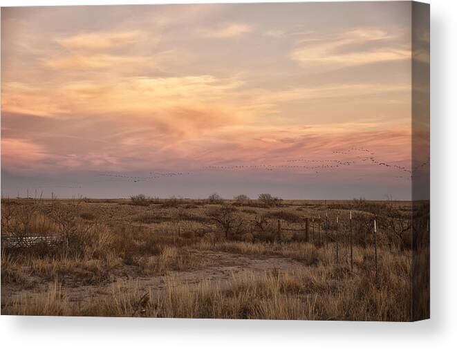 Animals Canvas Print featuring the photograph Sandhill Cranes at Sunset by Melany Sarafis