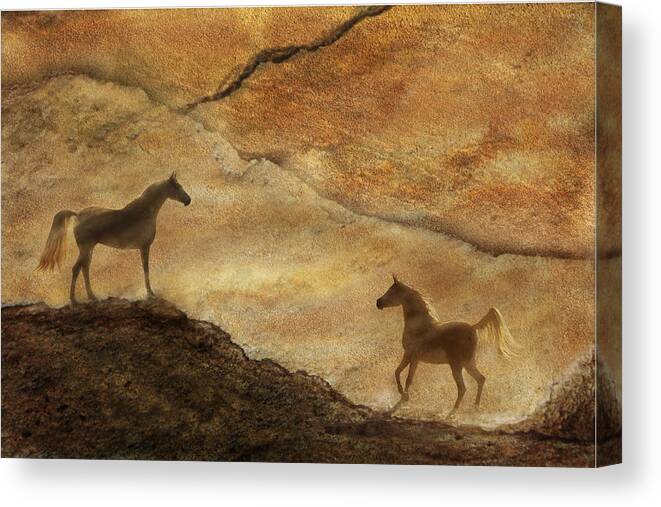 Sand Canvas Print featuring the photograph Sandstorm by Melinda Hughes-Berland