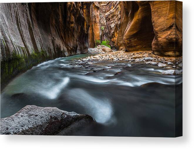 Zion Canvas Print featuring the photograph Saved by Chuck Jason