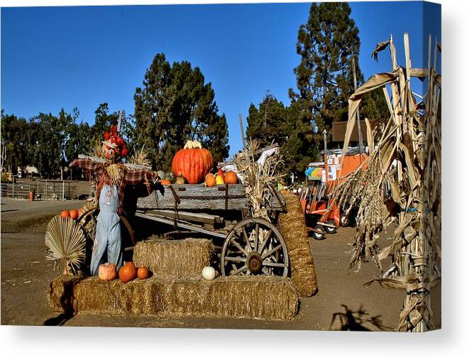 Seasonal Canvas Print featuring the photograph Scare Crow by Michael Gordon