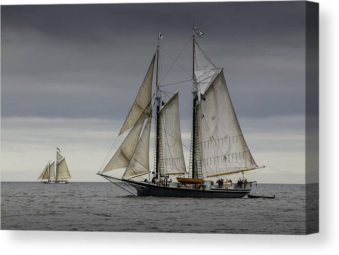 Schooner Canvas Print featuring the photograph Schooner by Fred LeBlanc