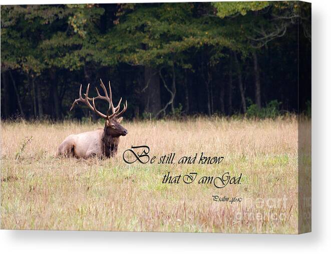 Elk Canvas Print featuring the photograph Scripture Photo with Elk Sitting by Jill Lang