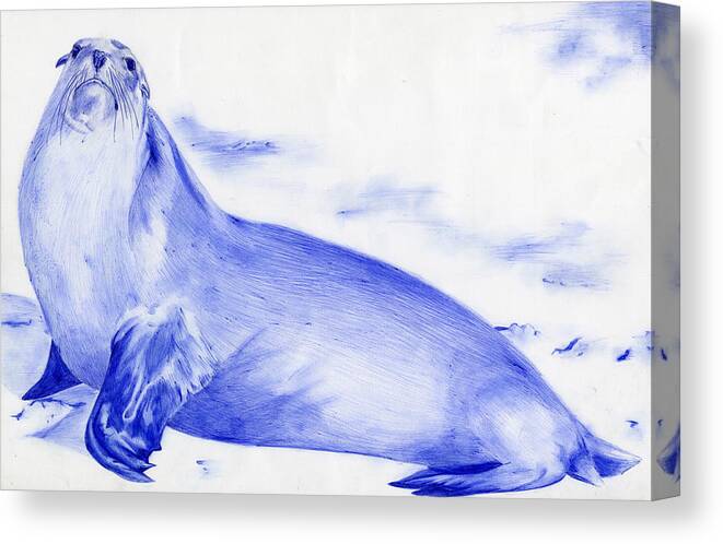 Sea Lion Canvas Print featuring the drawing Sea Lion by Odessa Van Order 12th grade by California Coastal Commission