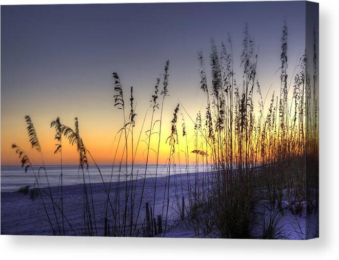 Florida Canvas Print featuring the photograph Sea Oats by Tim Stanley