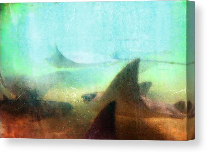 Ray Canvas Print featuring the painting Sea Spirits - Manta Ray Art by Sharon Cummings by Sharon Cummings
