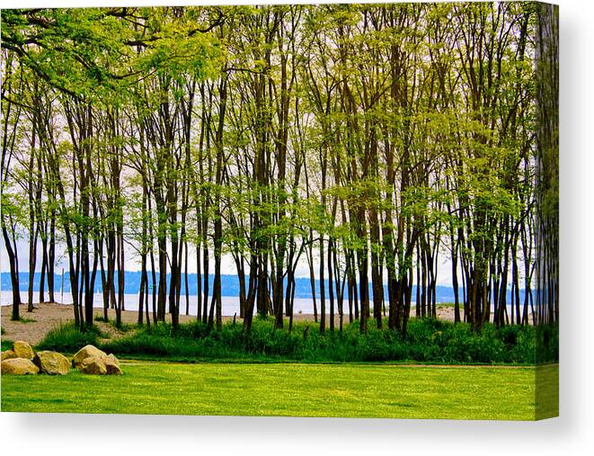 Seattle Beach Canvas Print featuring the photograph Sea Through The Trees by Juli Ellen