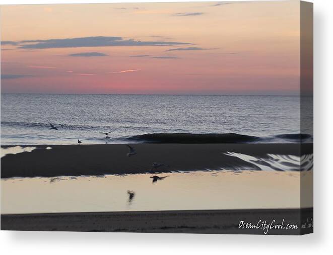 Animals Canvas Print featuring the photograph Seagulls Sea and Sunrise by Robert Banach