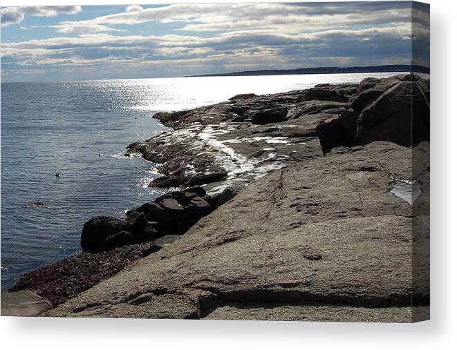 Nubble Canvas Print featuring the photograph Seasider by Mim White