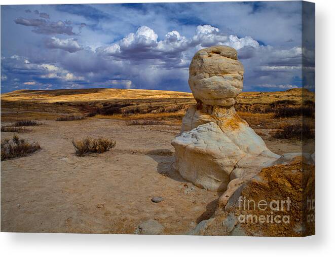  Canvas Print featuring the photograph Sentinel by Barbara Schultheis