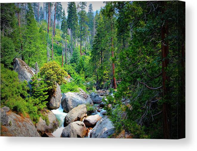 Abstract Canvas Print featuring the photograph Sequoia Stream by Heidi Smith