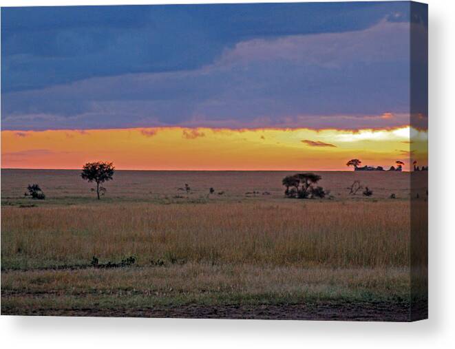 Sunrise Canvas Print featuring the photograph Serengeti Sunrise by Tony Murtagh