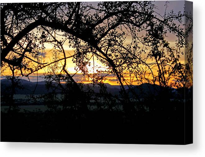 Sunset Canvas Print featuring the photograph Serengeti Sunset by Tony Murtagh