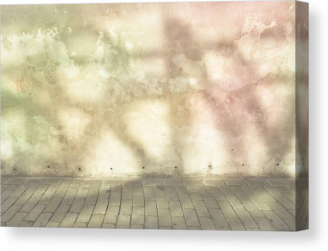 Abstract Canvas Print featuring the photograph Shadows on wall by Tom Gowanlock