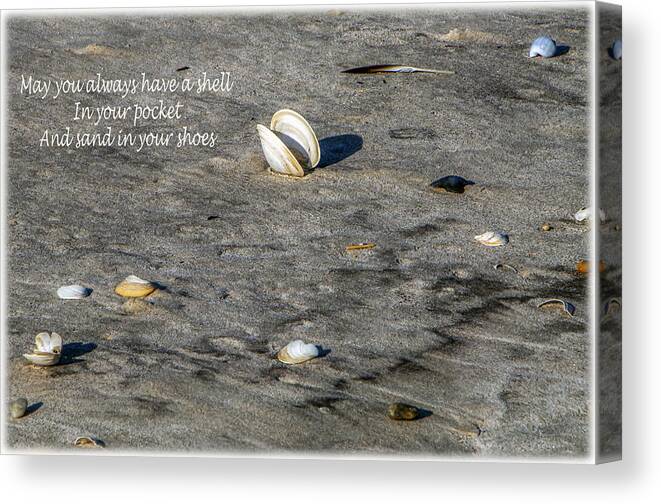 Beach Canvas Print featuring the photograph Shell In Your Pocket by Cathy Kovarik