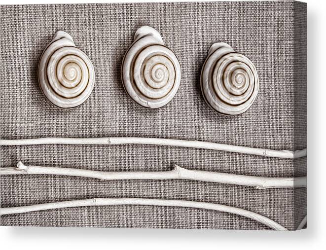 Collection Canvas Print featuring the photograph Shells and Sticks by Carol Leigh