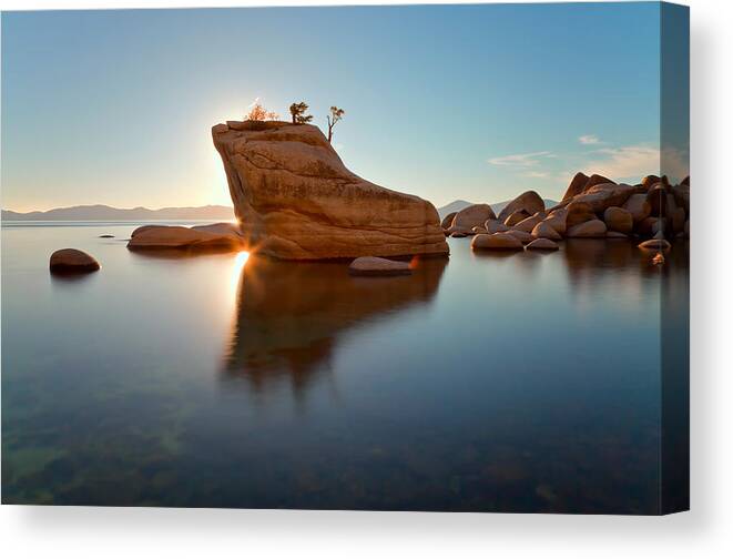 Landscape Canvas Print featuring the photograph Shining Bonsai by Jonathan Nguyen