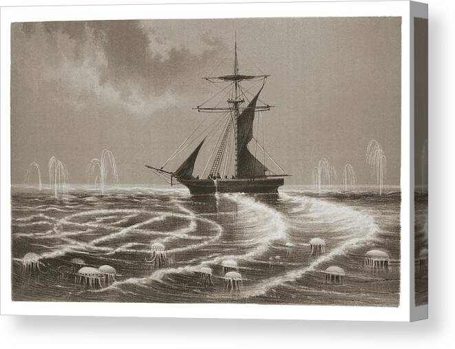 Ship Canvas Print featuring the photograph Ship Sailing Through Bioluminscence Bloom by David Parker/science Photo Library