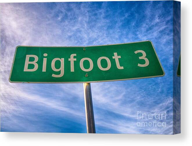 Bigfoot Canvas Print featuring the photograph Signs of Bigfoot by Ken Williams