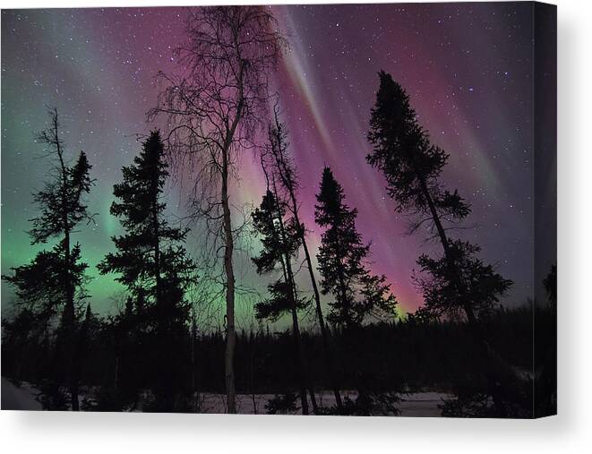 Aurora Borealis Canvas Print featuring the photograph Silence of the Night by Valerie Pond