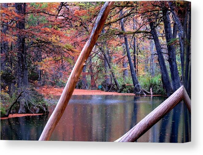 Texas Hill Country Canvas Print featuring the photograph Silent Colors by David Norman