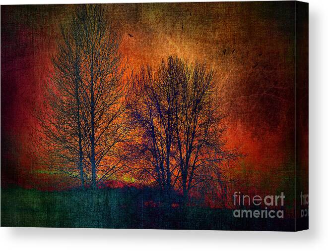 Nature Canvas Print featuring the photograph Silhouettes by Sylvia Cook