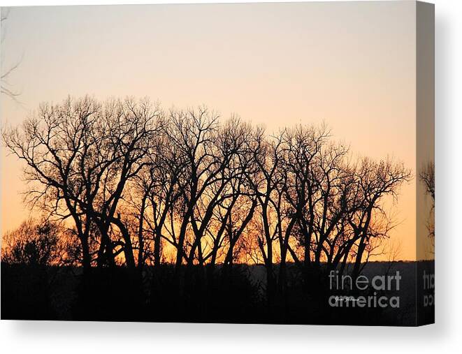 Trees Canvas Print featuring the photograph Silhouettes by Yumi Johnson
