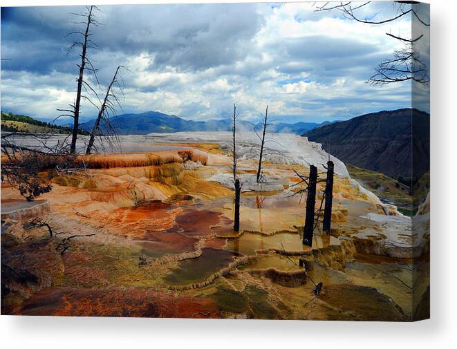 Yellowstone Canvas Print featuring the photograph Simmering Color by Richard Gehlbach