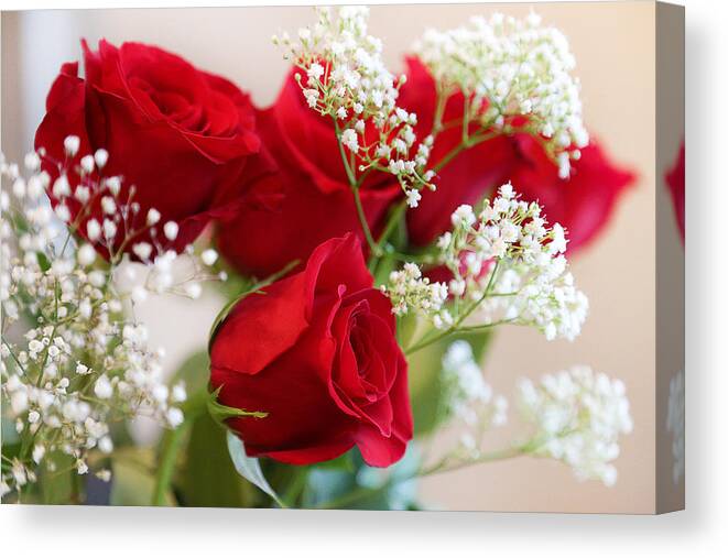 Rose Canvas Print featuring the photograph Simple Beauty by Milena Ilieva