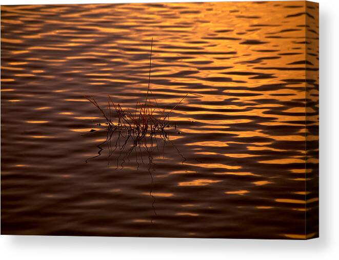 Rippled Water Canvas Print featuring the photograph Simple Sunset by Bonnie Bruno