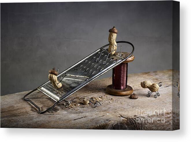 Simple Canvas Print featuring the photograph Simple Things - Sliding Down by Nailia Schwarz