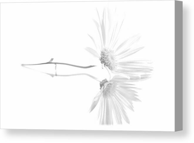 Simplistic Canvas Print featuring the photograph Simplistic Reflection... by Tammy Schneider