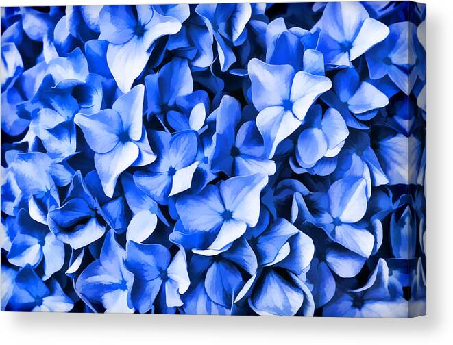 Blue Canvas Print featuring the photograph Simply Blue by Cathy Kovarik